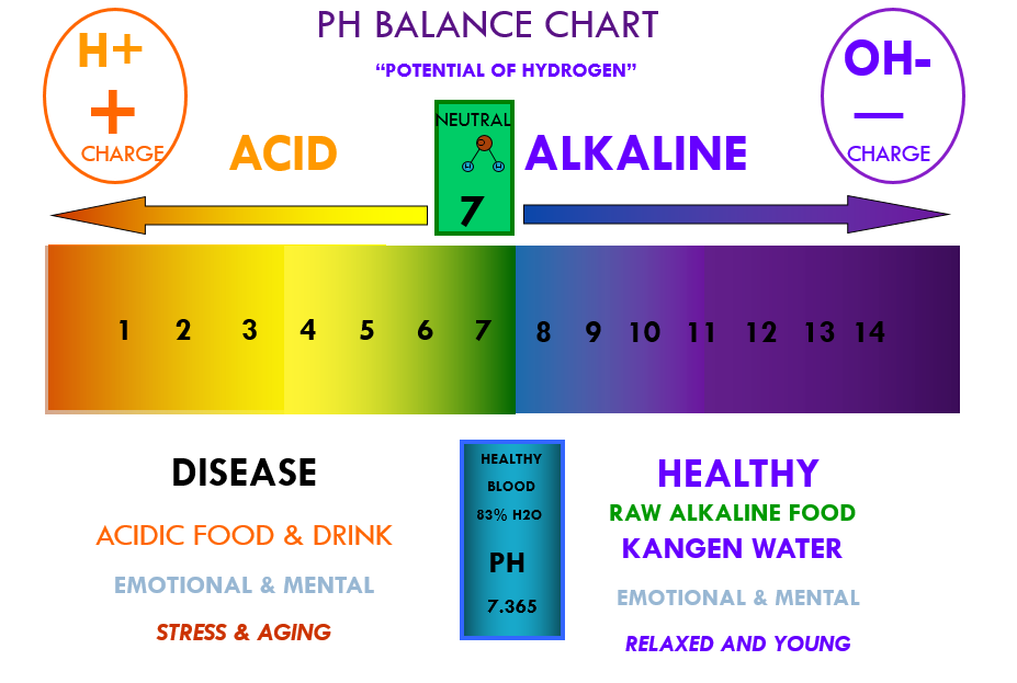 Alkaline перевод. Питьевая вода с PH 7.5. Kangen Water сколько PH. Alkaline обозначение. Alkaline максимальная температура.